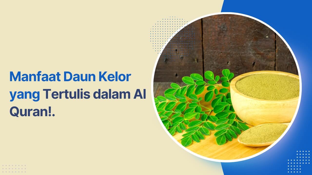 manfaat daun kelor dalam al quran terbaru