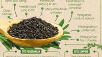 manfaat jintan hitam untuk wanita terbaru