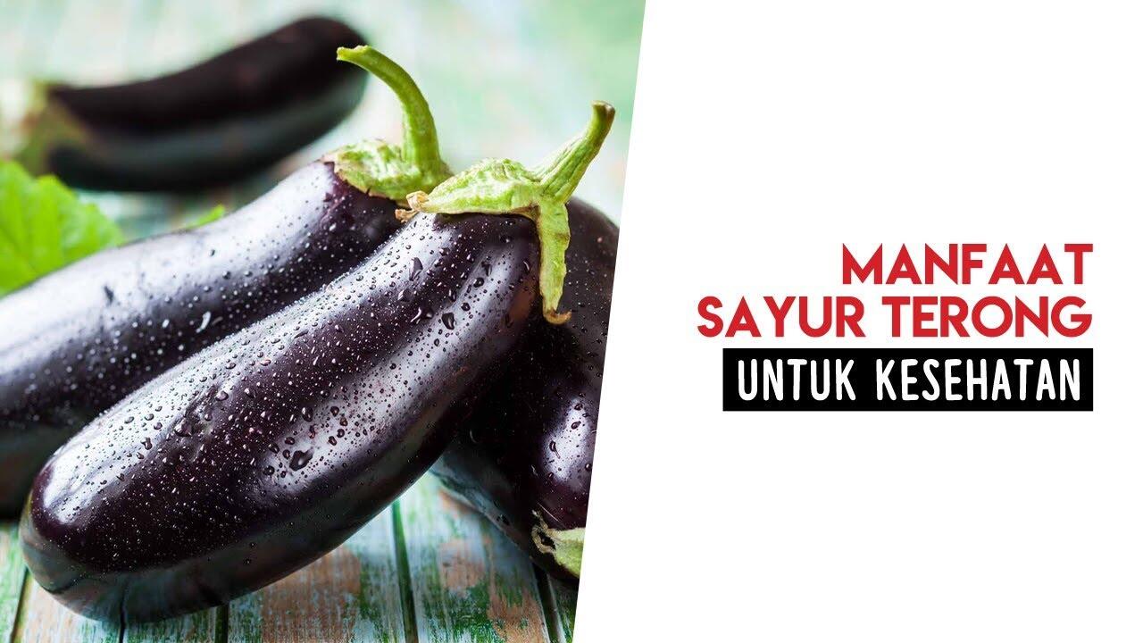 fakta terong manfaat pria menarik bikin