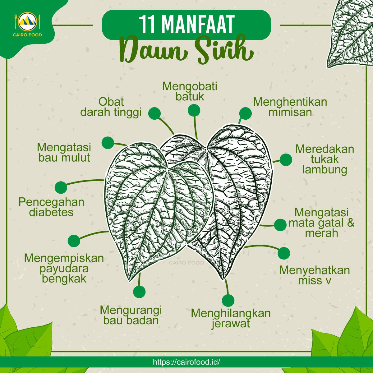 daun sirih hijau khasiat punya kecantikan portalmadura