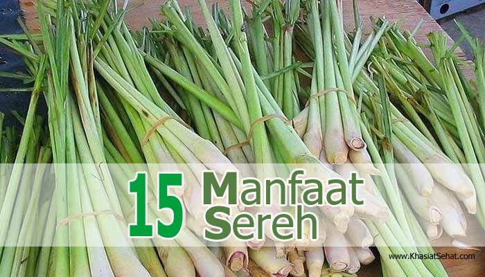 manfaat sereh merah untuk kesehatan