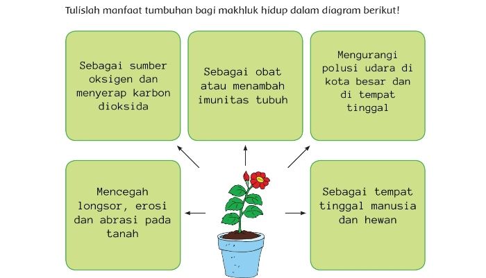 tuliskan berbagai tumbuhan yang dimanfaatkan sebagai bahan pewarna alami terbaru