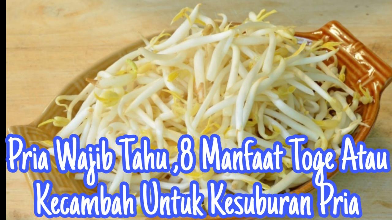 manfaat toge kesuburan