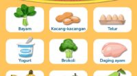 makanan trimester kehamilan hamil makan nutrisi pertama bumil bulan sehat bayi bergizi theasianparent janin