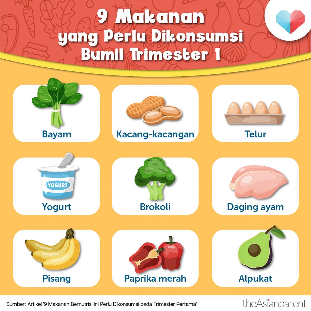 makanan trimester kehamilan hamil makan nutrisi pertama bumil bulan sehat bayi bergizi theasianparent janin