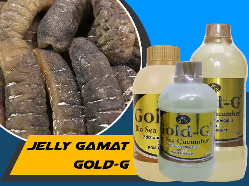 manfaat gold g untuk lambung terbaru