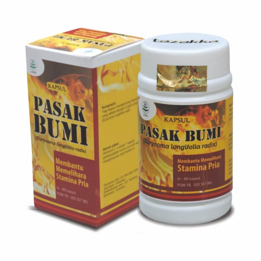 bumi pasak kapsul hiu stamina obat pria penambah surabaya isi