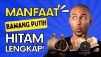 manfaat bawang putih hitam