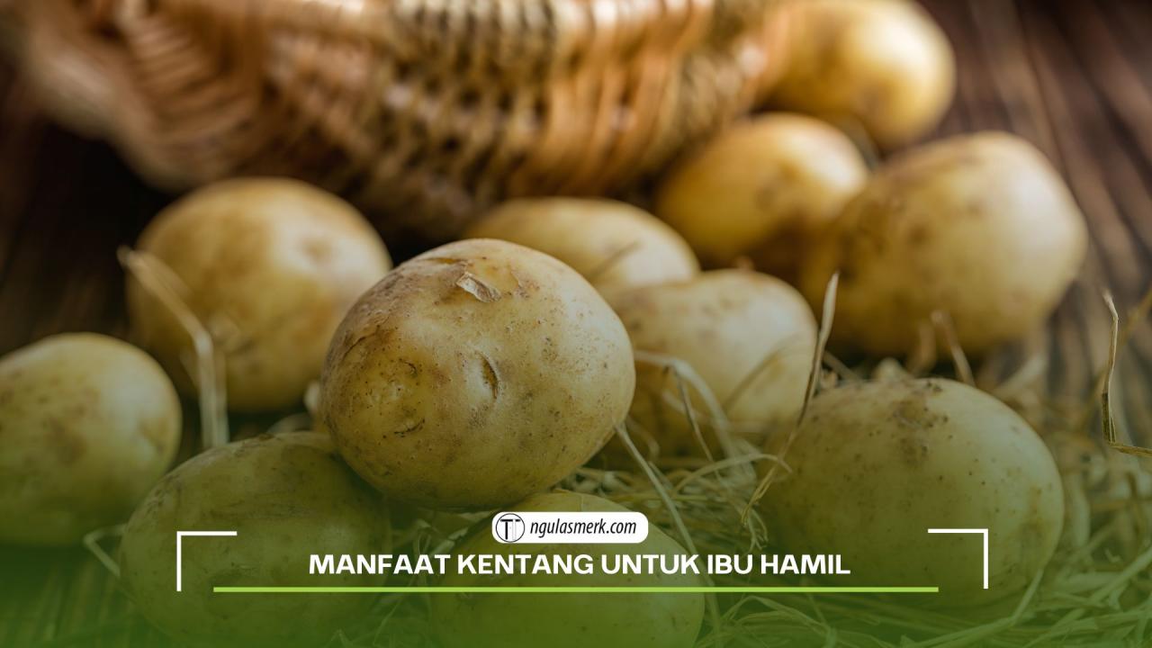 hamil kentang manfaat kumparan