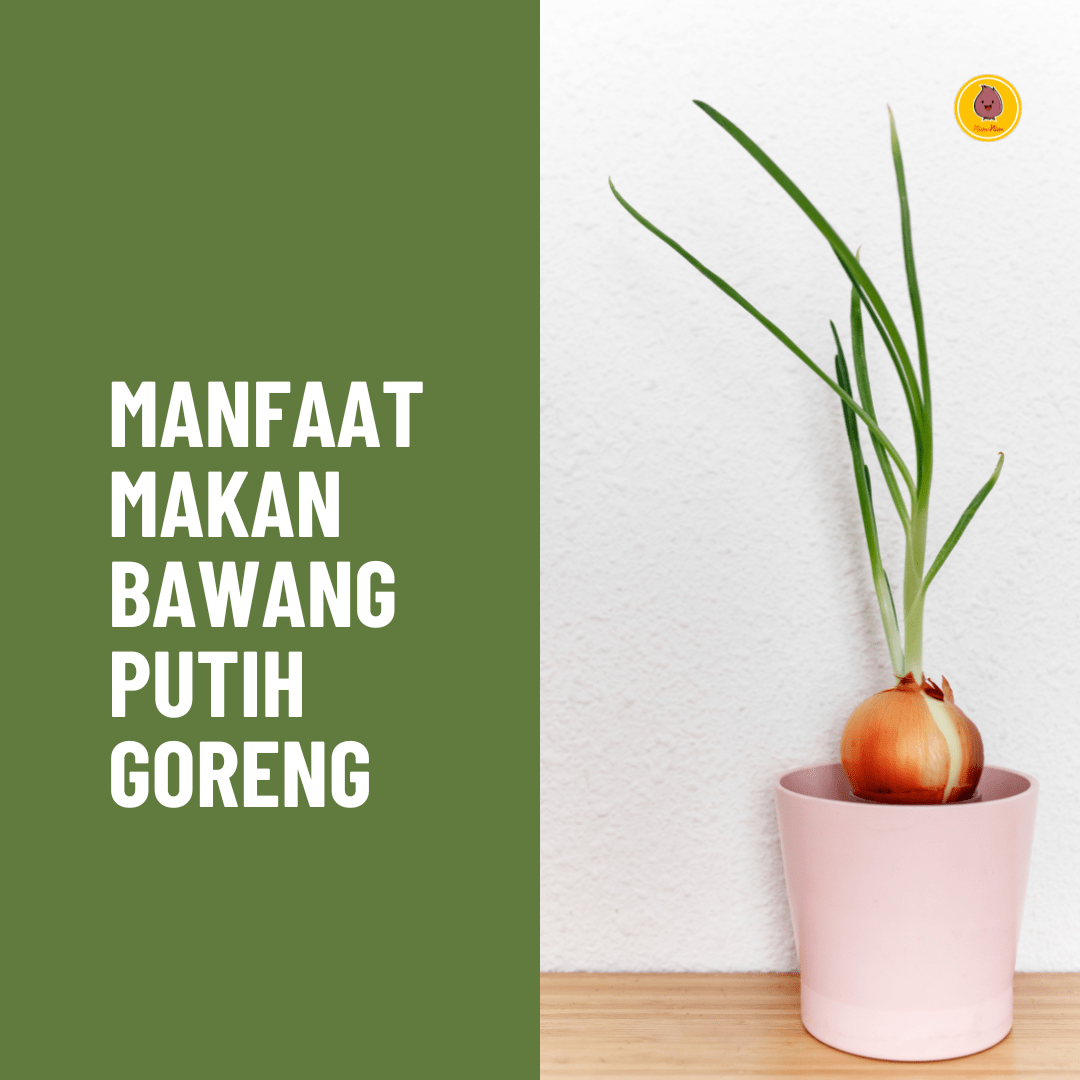 manfaat makan bawang putih goreng