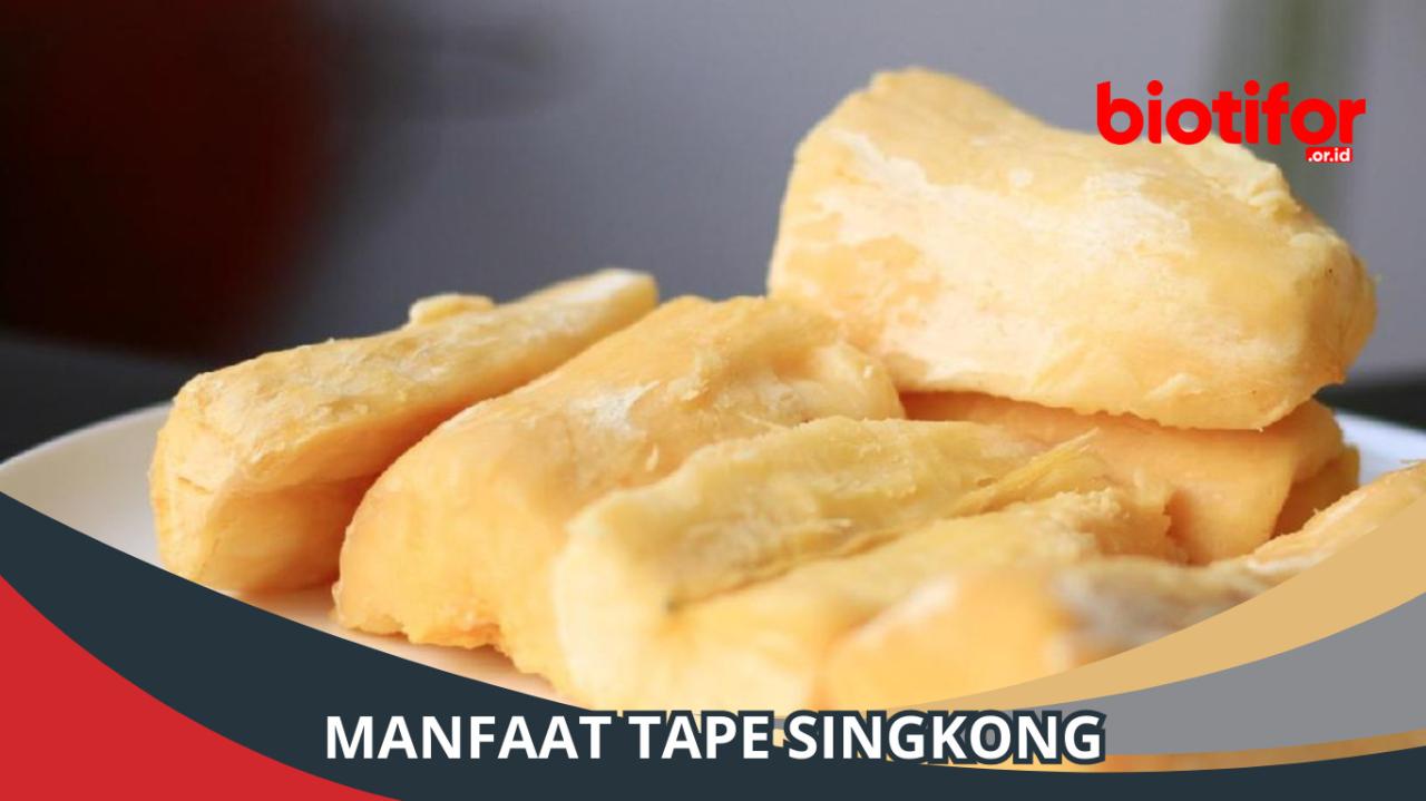 singkong makanan tapai fermentasi manfaat peuyeum ubi proses mengandung aneka variasi endeus ragi tubuh setelah disangka ternyata alkohol apakah serabutan