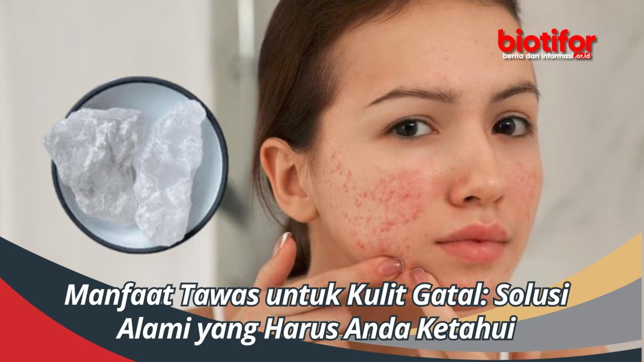 gatal kulit bentol tubuh tidak atasi menghilangkan