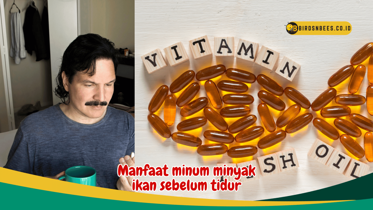 manfaat minum minyak ikan sebelum tidur