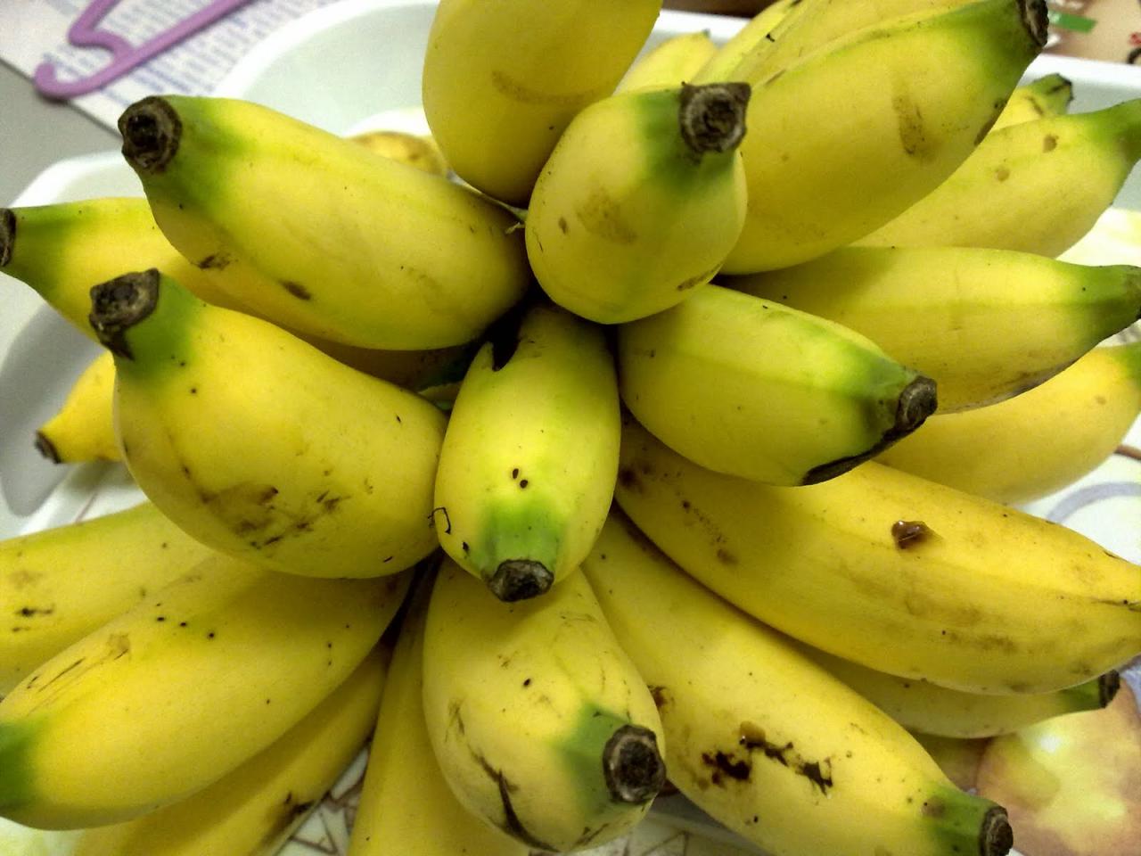 manfaat buah pisang untuk wanita terbaru