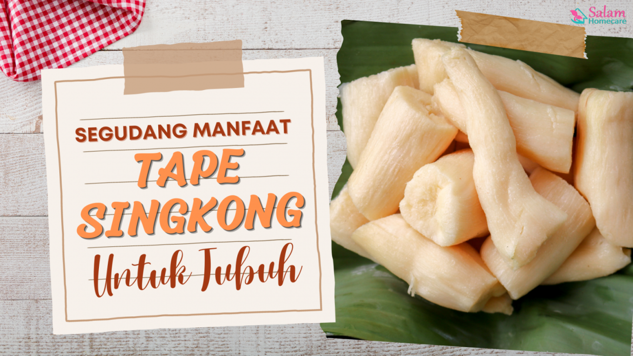 manfaat tape singkong untuk lambung