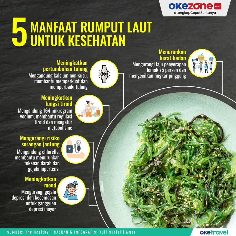 laut rumput manfaat