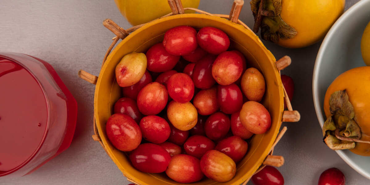 manfaat buah zuriat untuk promil