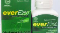 e250 manfaat obat kesehatan memelihara kulit