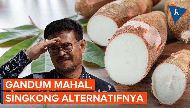 apa manfaat singkong bagi tubuh manusia