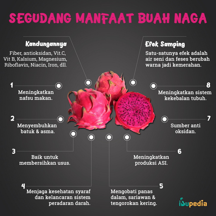 manfaat buah naga untuk janin