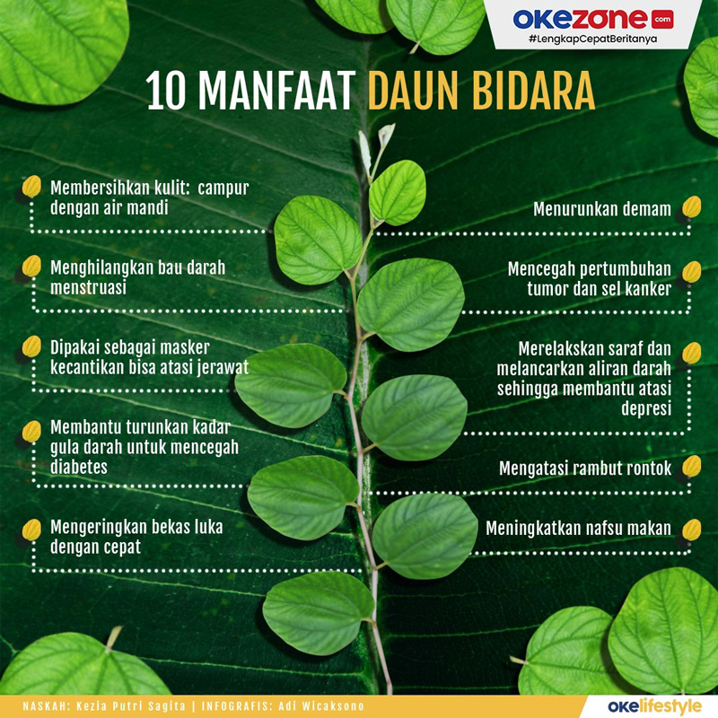 manfaat mandi daun bidara