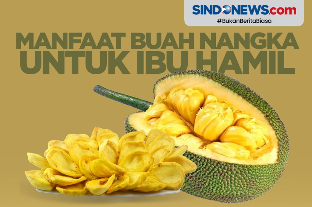 buah hamil nangka manfaat ibu