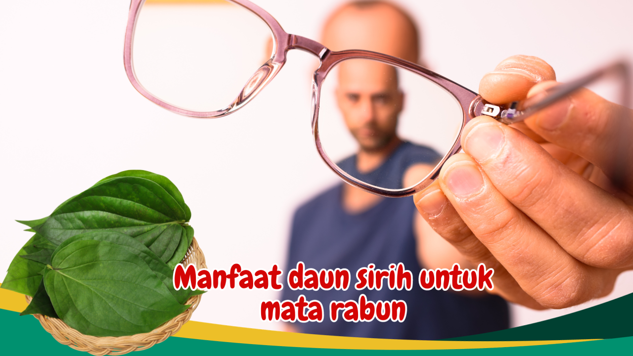 manfaat daun sirih untuk mata rabun