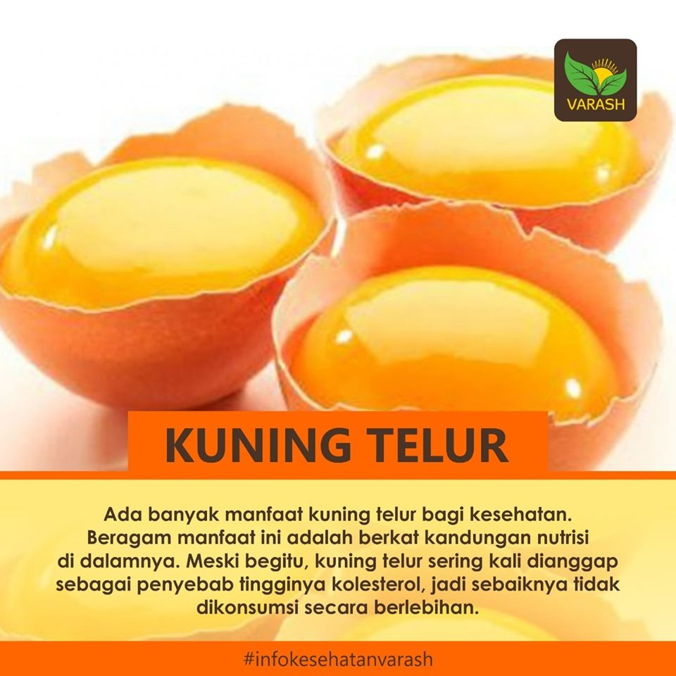 manfaat kuning telur mentah bagi pria