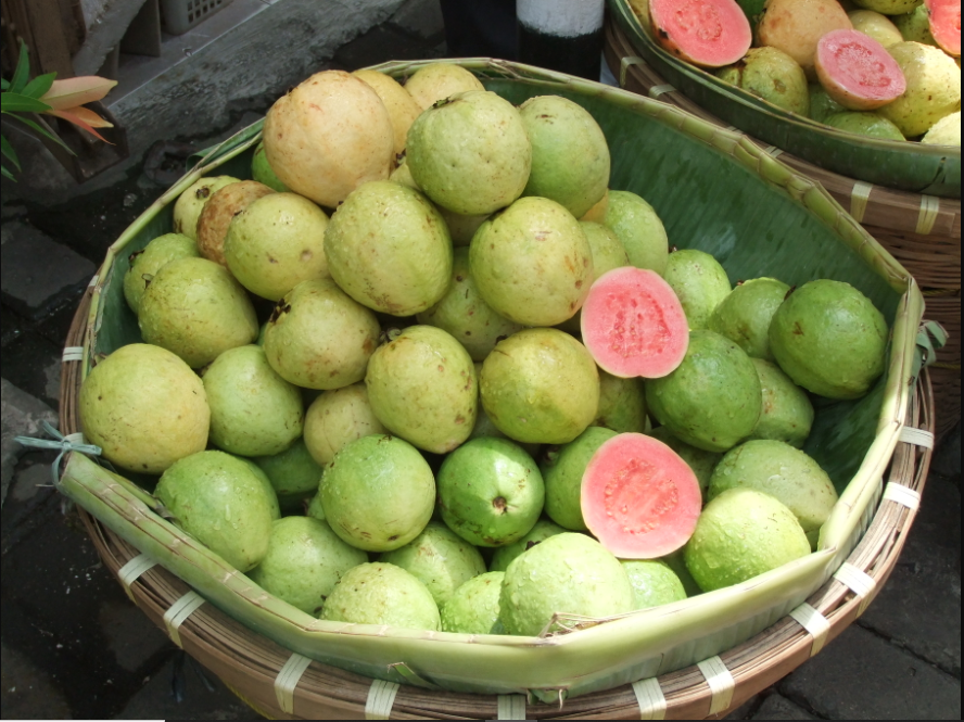 jambu jus manfaat kulit kesehatan bibitbunga diolah