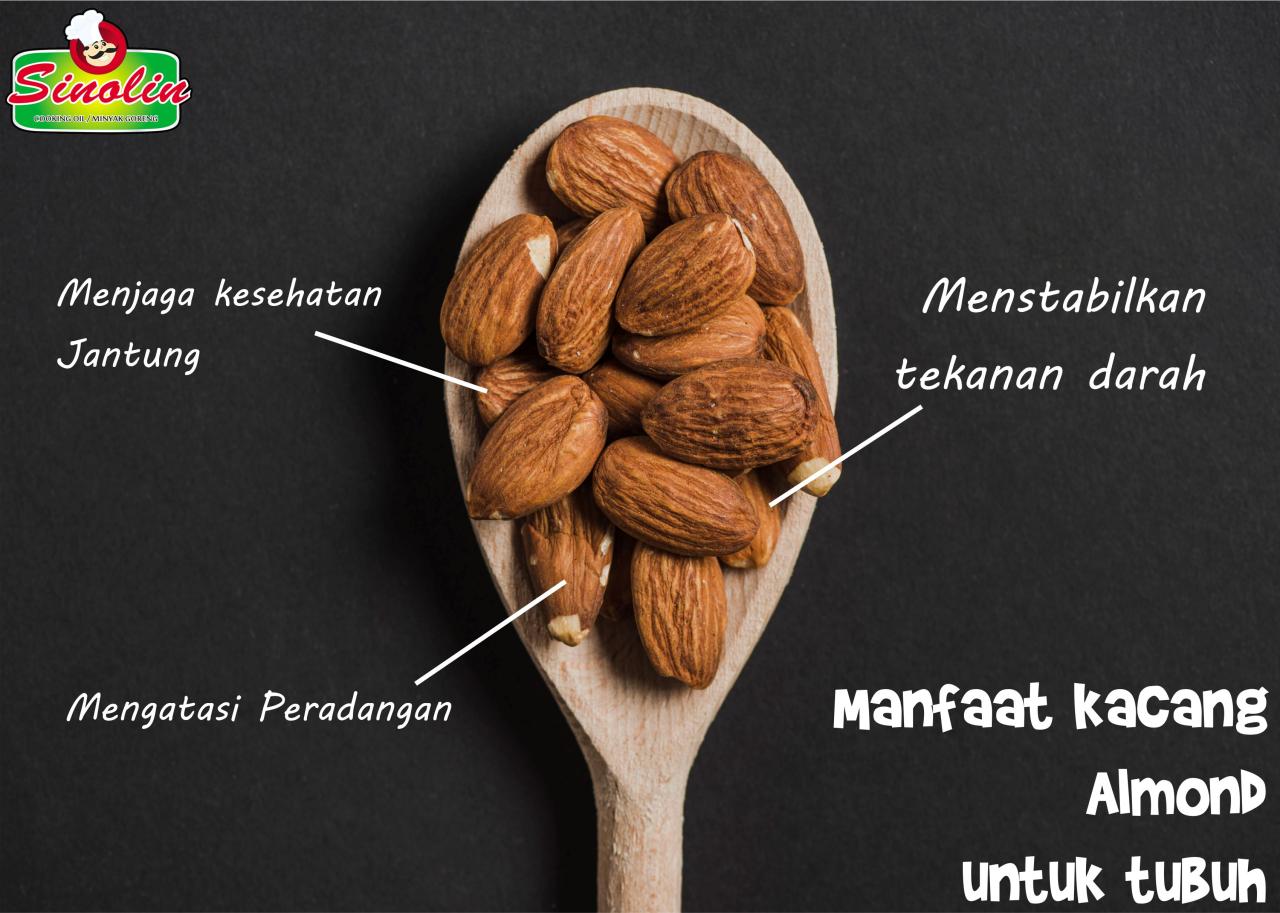 kacang almond manfaat tubuh kenali