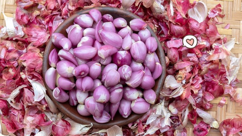 manfaat kulit bawang merah terbaru