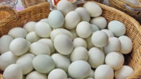 manfaat kuning telur bebek terbaru