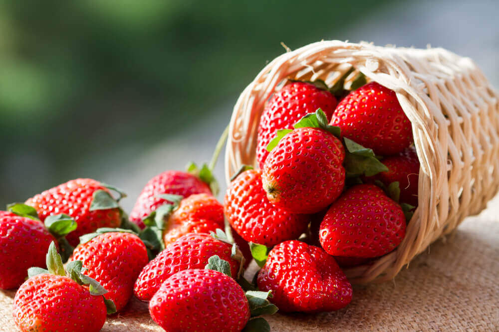 kesehatan buah stroberi manfaat stoberi organic ibu hamil hydroponic merah