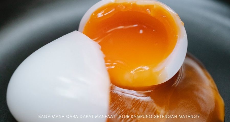 manfaat telur setengah matang untuk ibu hamil terbaru