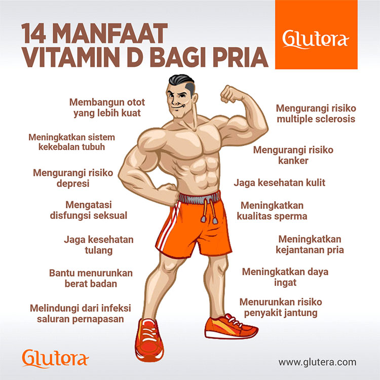 manfaat vitamin d untuk pria terbaru