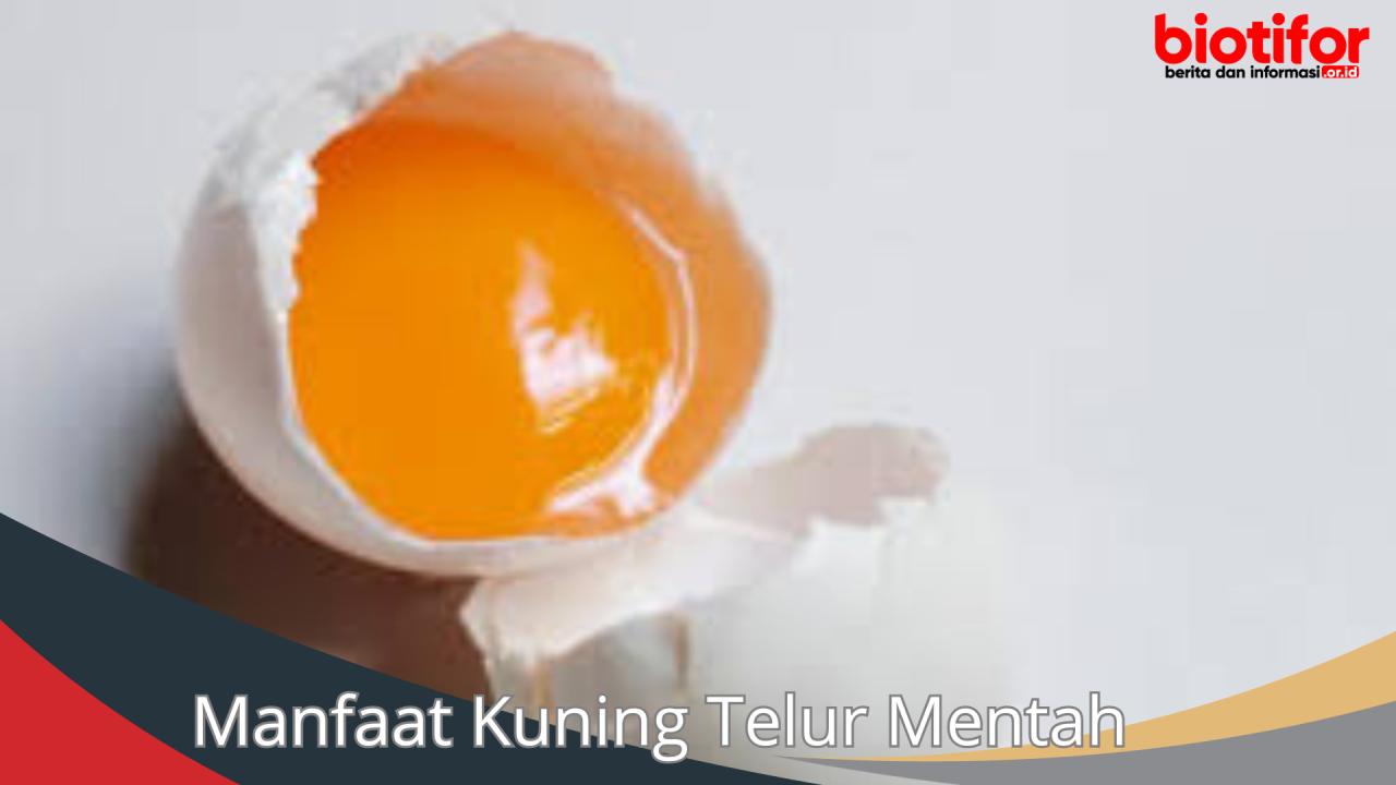 kuning telur makanan manfaat pupuk ayam kaya sinar matahari selain kampung alami perangsang buah pembuatan kabar6 bbs