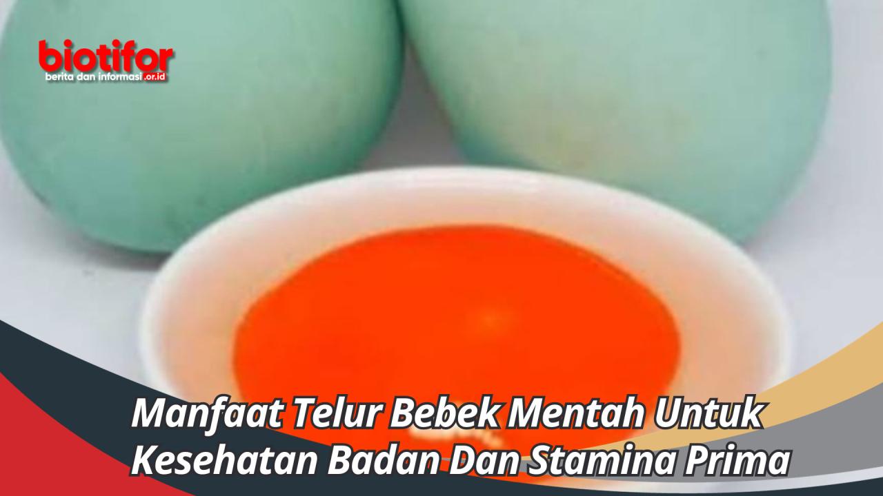 manfaat telur bebek mentah