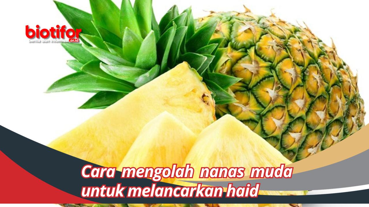 nanas kandungan menggugurkan karena cepat haid medis secara memperlancar solusi