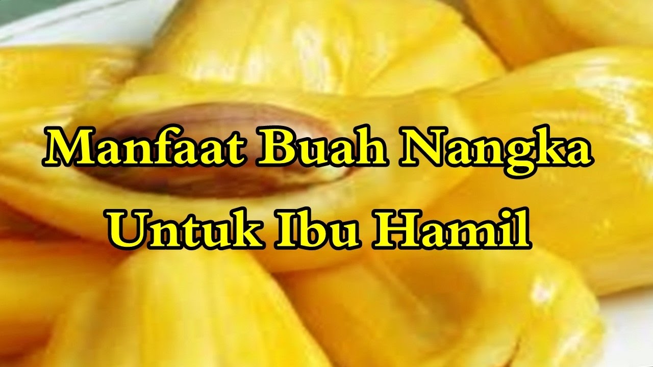 nangka jackfruit buah jamaican hamil ibu khasiat bliss veganer alodokter boundlessroads