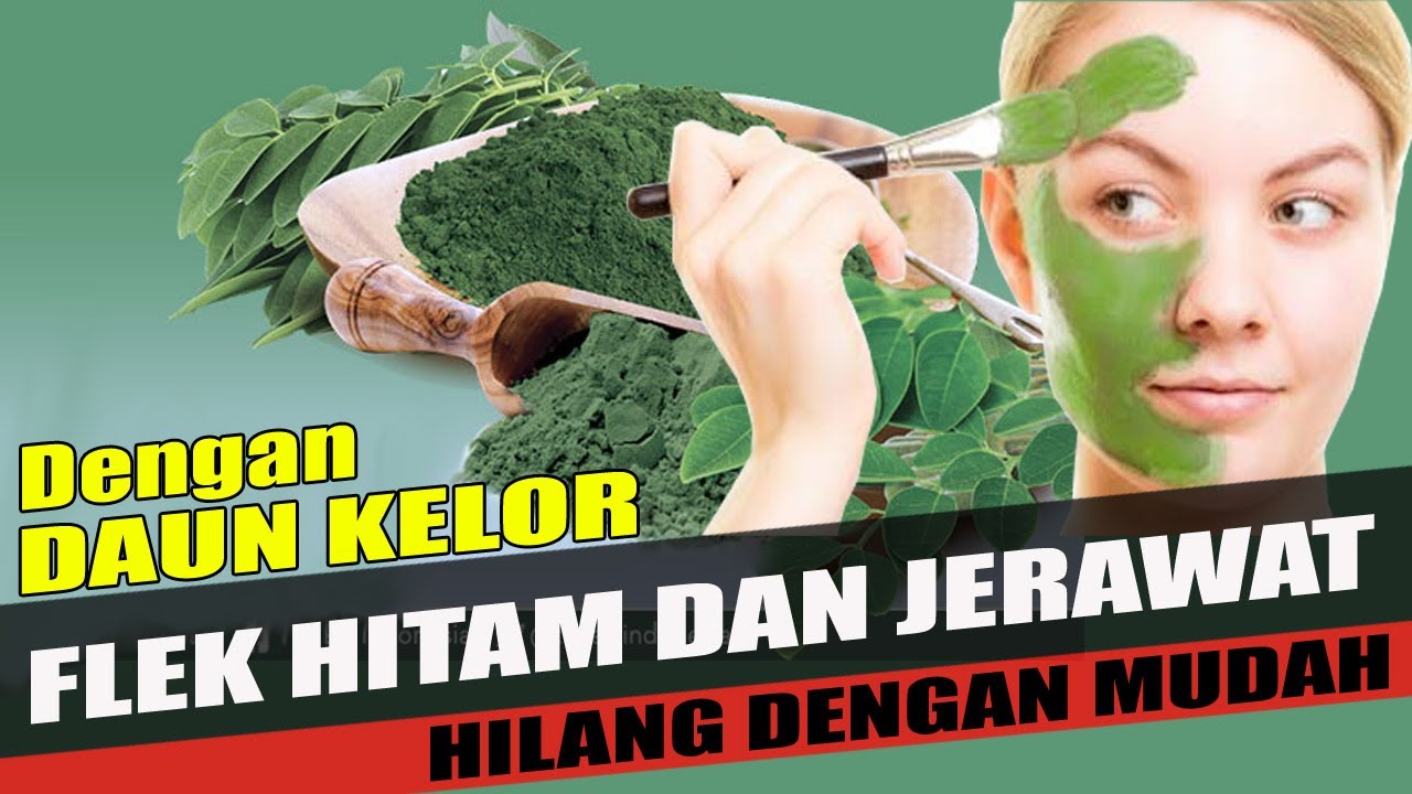 manfaat masker daun kelor