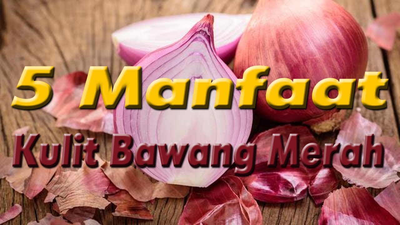 manfaat kulit bawang merah