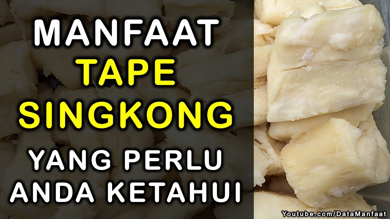 manfaat tape singkong untuk haid