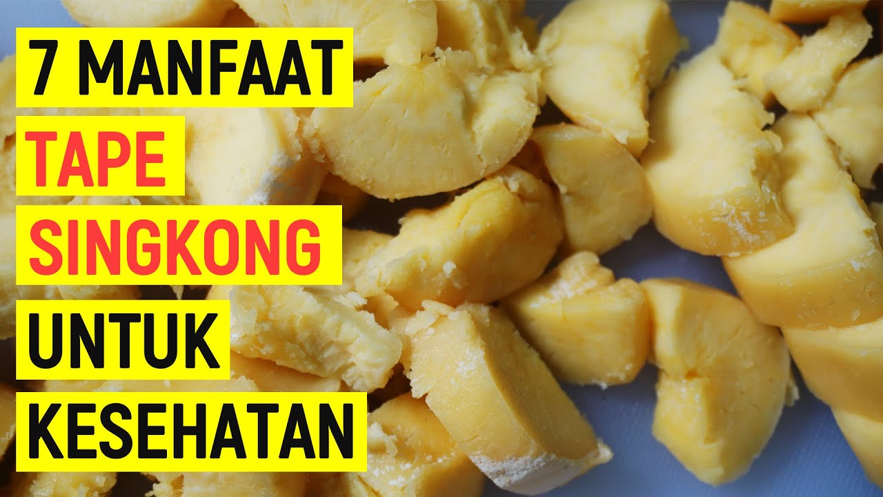 singkong kuning resep tapai manfaat fermentasi makanan cpcdn adalah cookpad