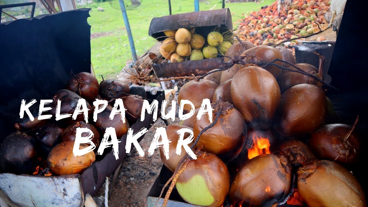 manfaat kelapa bakar untuk lambung