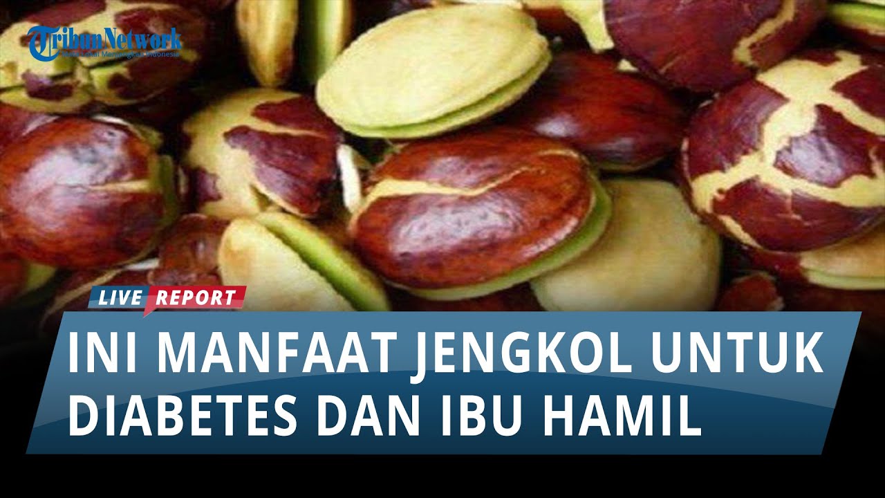 manfaat jengkol untuk ibu hamil