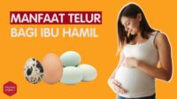 manfaat telur hamil optimalkan otak janin