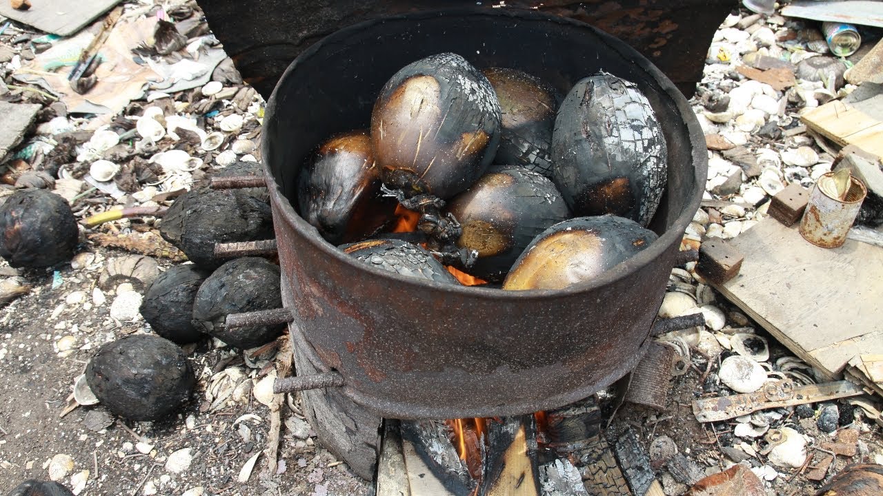 manfaat kelapa bakar untuk lambung