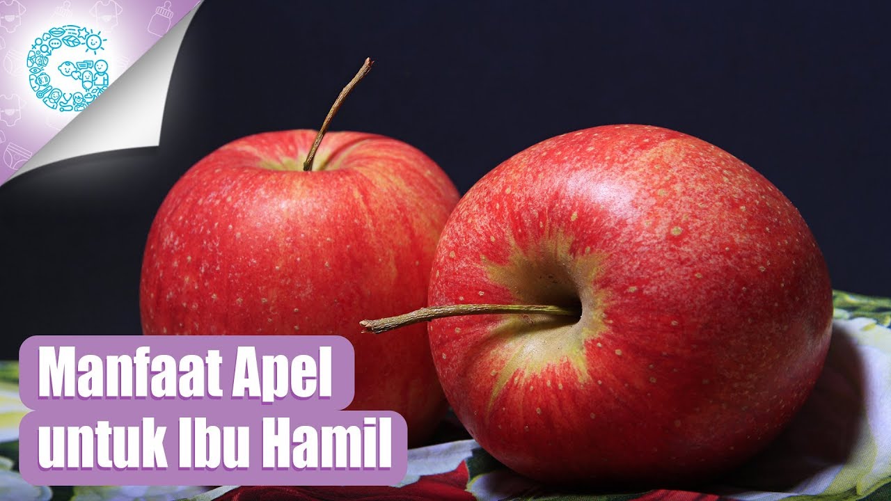 manfaat apel merah untuk ibu hamil