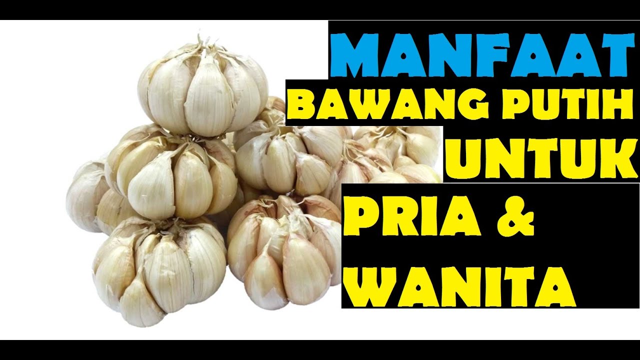 manfaat bawang lanang untuk wanita