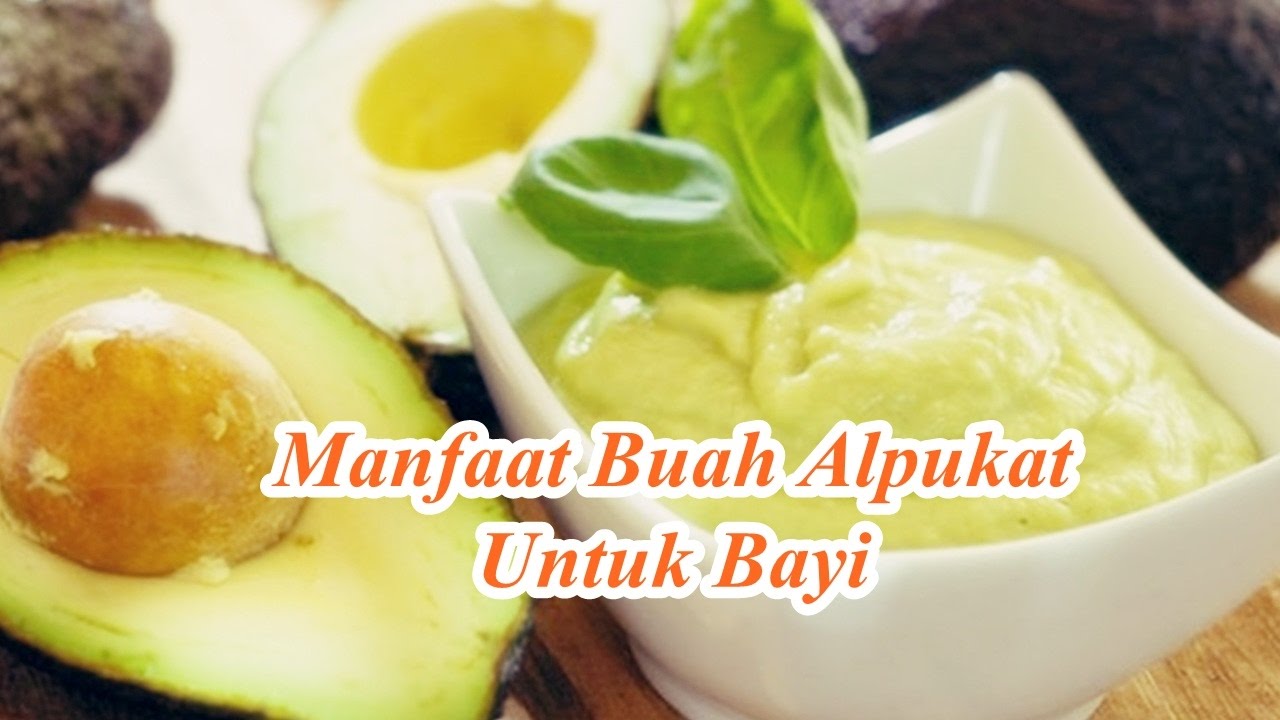 manfaat buah alpukat untuk bayi terbaru